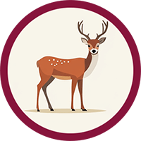 Anikawi Deer Clan