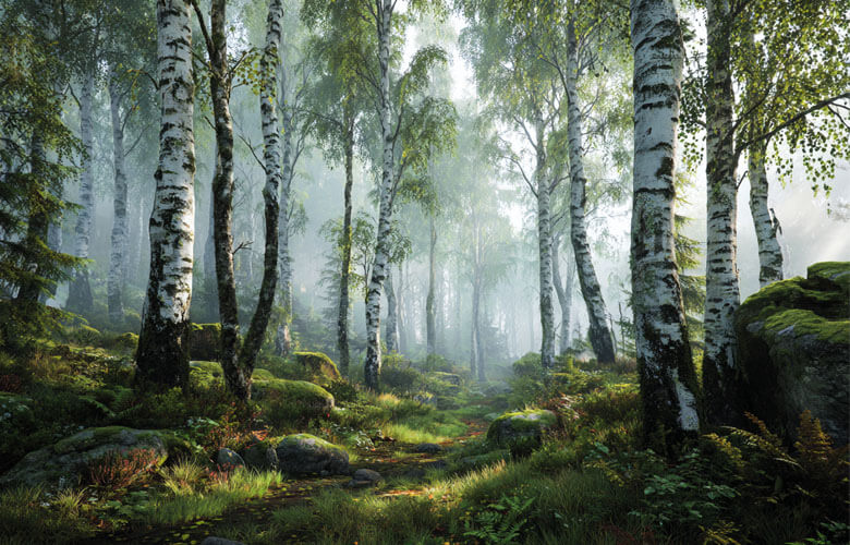 Jokamiehenoikeus: Everyman's Right to Roam in Finland Explained