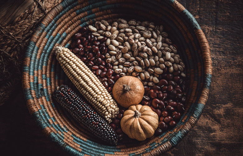 The Three Sisters: Indigenous Agriculture Technique